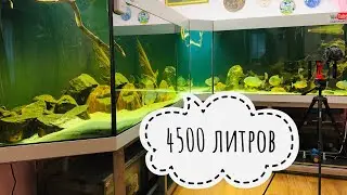 Аквариум больше 4000 литров