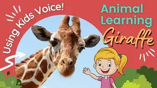Animals for Kids Giraffe | Fun Learning With Kids Voice