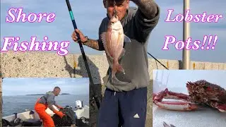 Lobster Fishing/ Shore Fishing!! Hunting Couches Bream!!!