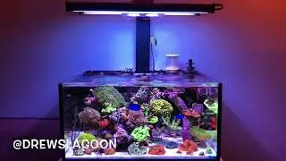 Innovative marine fusion lagoon 25 led t5 hybrid
