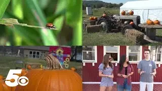 Around the Corner | Farmland Adventure in Springdale