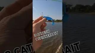 3 CATFISH with 1 SPINNERBAIT‼️