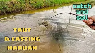 #EP1179 Tahan Taut Haruan | Casting | Catch and Sell