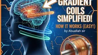 Gradient Coils in MRI: How They Shape Images | Radiology Master