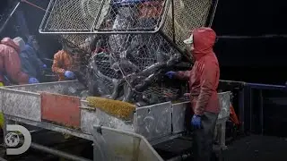 Un gran trabajo en la pesca de bacalaos negros | Pesca Mortal | Discovery Latinoam&eacute;rica