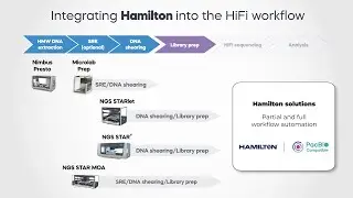 Automating the PacBio HiFi long-read sequencing workflow with Hamilton