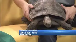 ZOO GUEST OF THE WEEK 