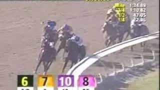 Lava Man - 2005 Hollywood Gold Cup