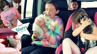 Starry Family Adventures | A Day of Goodbyes