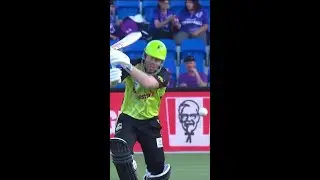 David Warner's Bat Breaks And Hilarity Ensues #BBL14