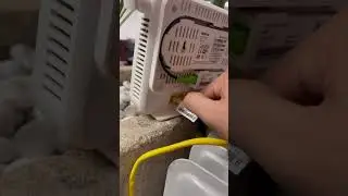 Un sistema mesh para mejorar tu red WIFI