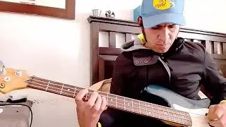 The carpenters - close to you - bass cover
