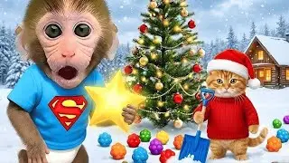 Christmas Day Party with Monkey Bon Bon & Ducklings! 🎄🐒🦆 #monkey #monkeybaby #animalshome 
