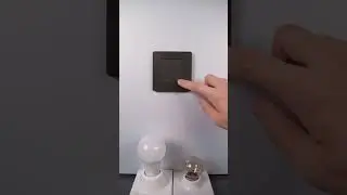 The best smart Star Ring series dimmer switch by the end of 2024