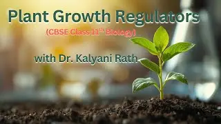 Plant Growth Regulators (Growth and Development Part 1), CBSE Class 11 Biology