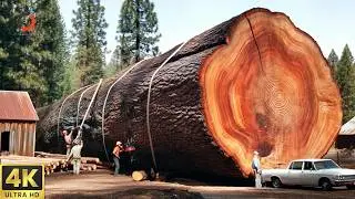 The Transformation of a Giant Wooden Treasure into a Masterwork of Craftsmanship