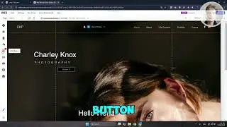 Как исправить неработоспособность панели поиска WIX | Пошаговое руководство