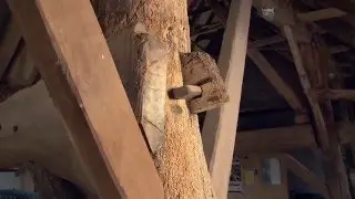 De Aarlese Hoeve, oudste boerderij van Nederland