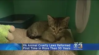 PA Reforms Animal Cruelty Law After More Than 30 Years