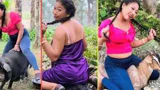 Goat Aur Pig Ka Funny Scene 🤣