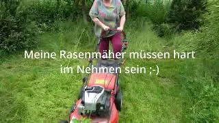 Resthof und Fibro und ADHS: Wildnis, wo fr&uuml;her Rasen war