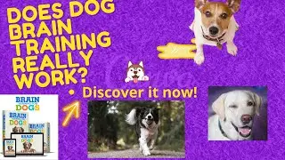 Brain training for dogs review: The Best Individual Dog - Training Course Is it worth it? 🐶