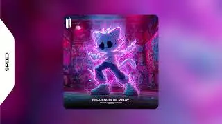 SEQUENCIA DE MEOW - XSKAY11, DJ TRIOBEEZT, DJ KVNXD, MC CODE (SPEED)