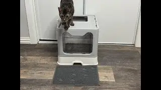 Highly recommend this Cat Litter Box with Litter Mat & Scoop