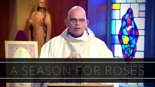 A Season For Roses | Homily: Father Robert Casey