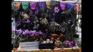 Orquídeas usadas en ceremonias tradicionales en Mesoamérica