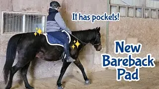 Trying out our new bareback pad! [08.12.2025]