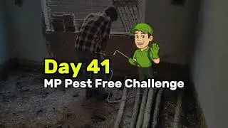 Day 41 | MP Pest Free Challenge | Anti Termite Treatment at Kolar Road, Bhopal | PPC
