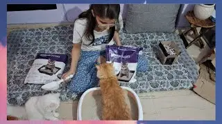 Cat Litter aur paw moisturizer ki unboxing🐈Rusty ne check kiya litter quality ✅️ #cat #catvlogs