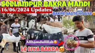 Seelampur Bakra Mandi 2024 Latest Video| बकरे सस्ते हो गए 🥳| Jafrabad Bakra Mandi IBakra Mandi 2024😍