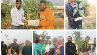 “A Green Start to the New Year | Mini Urban Forest Launched at Hill Park 🌱”