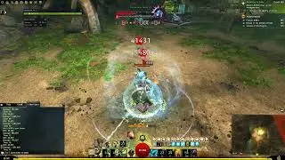 GW2 Power Soulbeast Sword/Axe - no longbow 38.6k