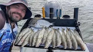 Gold Coast Summer Whiting, Night fishing, 20th June 2025 #whiting