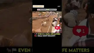 Do u agree ? #trending #love #viral #trend #reels#viralvideo #shorts#shortsvideo#animals #shortvideo