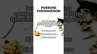 Care To Know Feline's Purring Phenomenon #SciTech Trivia Day