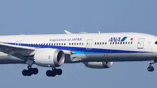 All Nippon Airways (ANA) NH879 Tokyo Haneda-Sydney | JA925A | Sydney Plane Spotting