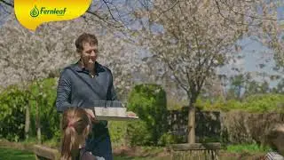 Fernleaf - New Zealand's lush, fresh grass (30s)