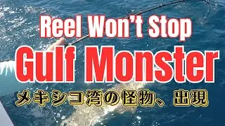 Monster in the Gulf of Mexico! 1-Hour Battle with a Massive 8FT Shark Revealed