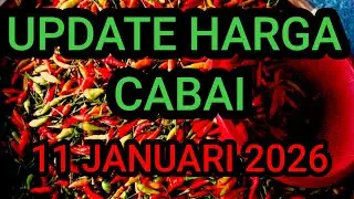 Update harga cabe rawit hari ini 11 Januari 2026 di pasar induk pare kediri jawa timur 