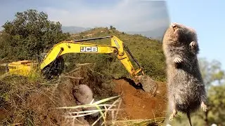 Road Less-Hill JS205 Excavator-Making dangerous Mountain Side New Road,Mouse vs JS205 Excavator