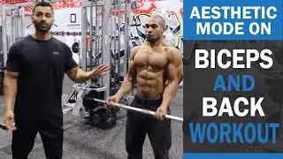 AESTHETIC MODE ON Back and Bicep Workout ! DAY 2 (Hindi / Punjabi)