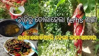 ଲଙ୍କା ରେ ତିଆରି ହେଲା କଡ଼ା ଆଚାର ||ବାଡ଼ିରୁ ତୋଲାହେଲା ferhs ଲଙ୍କା @bhadraktoka100