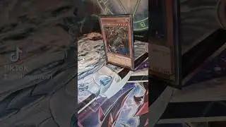 Donnerdrache