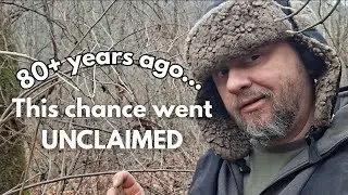 80 лет роста лесов: металлоискатели на исчезнувших улицах угольного городка в Западной Вирджинии