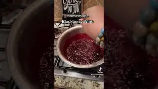 Recipe of the Day #recipe #viral #cookwithme #wine #blackberry #winetasting #homemade #homemadewine