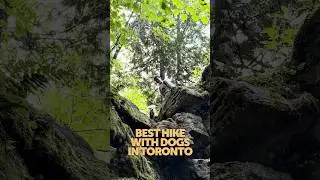 The most fun dog friendly hike around Toronto
